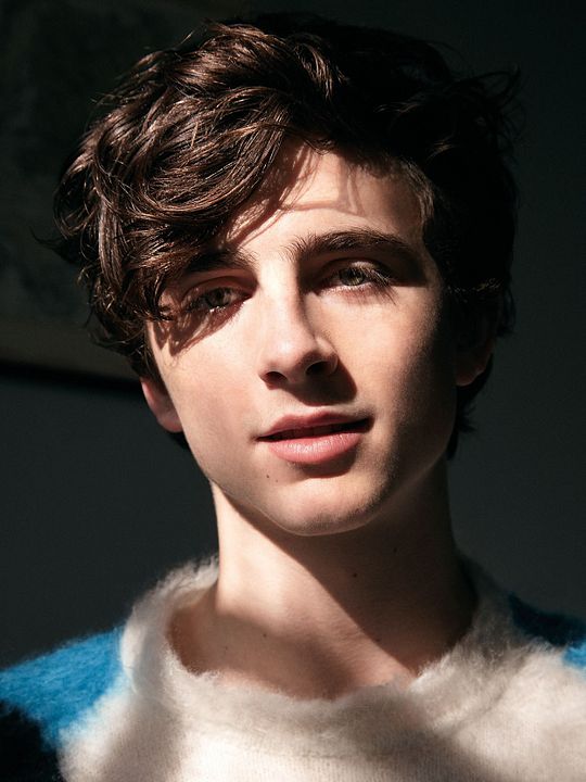 Poster Timothée Chalamet