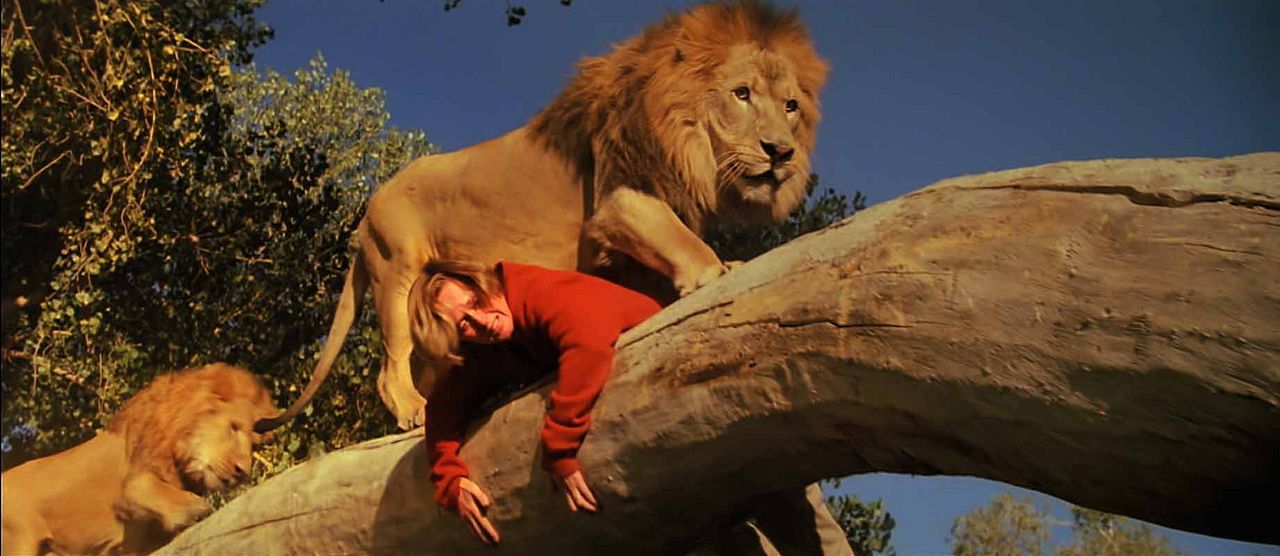 Roar : Fotos