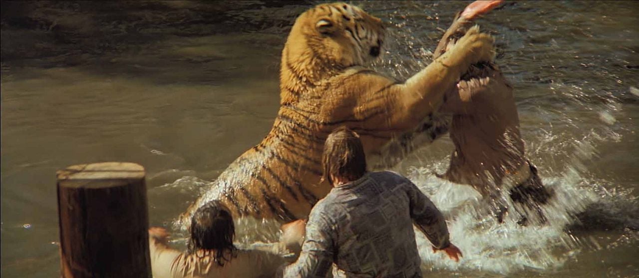 Roar : Fotos