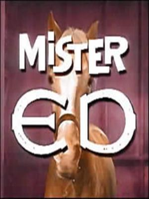 Mister Ed : Poster