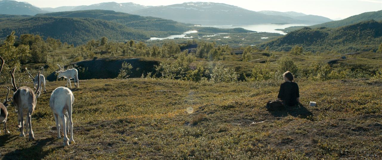 Sangue Sámi : Fotos Lene Cecilia Sparrok