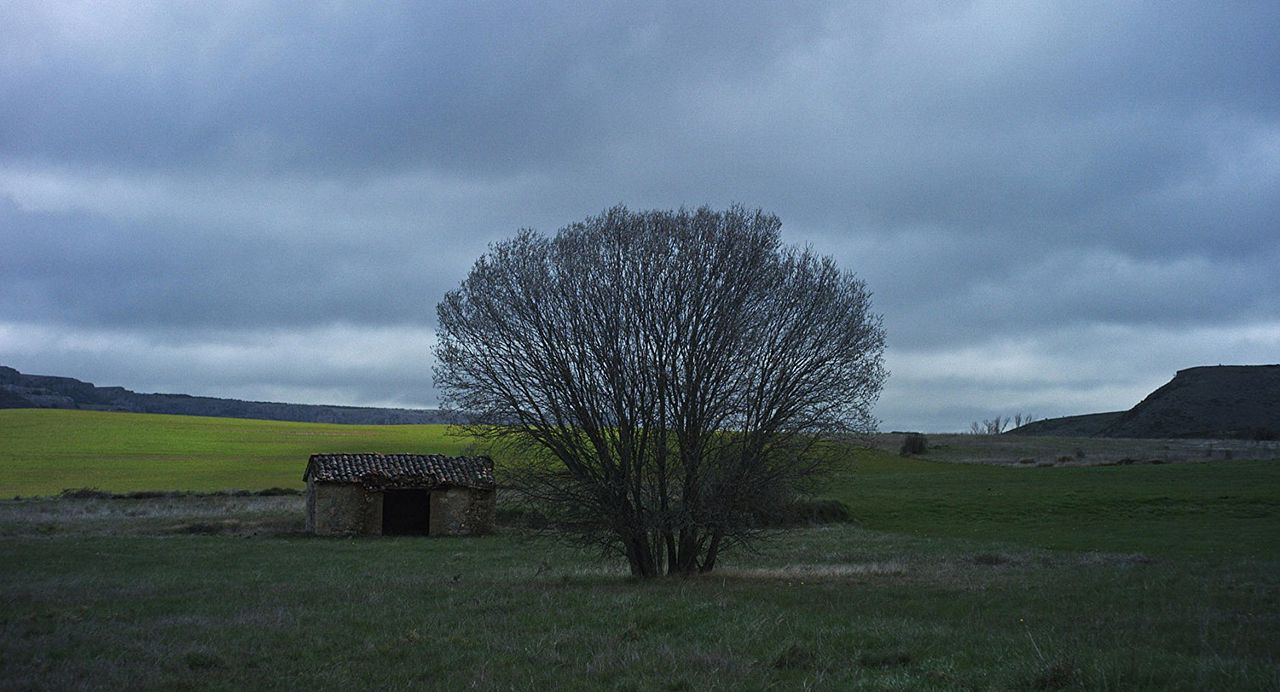 Con el viento : Fotos