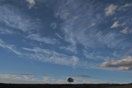 Con el viento : Fotos