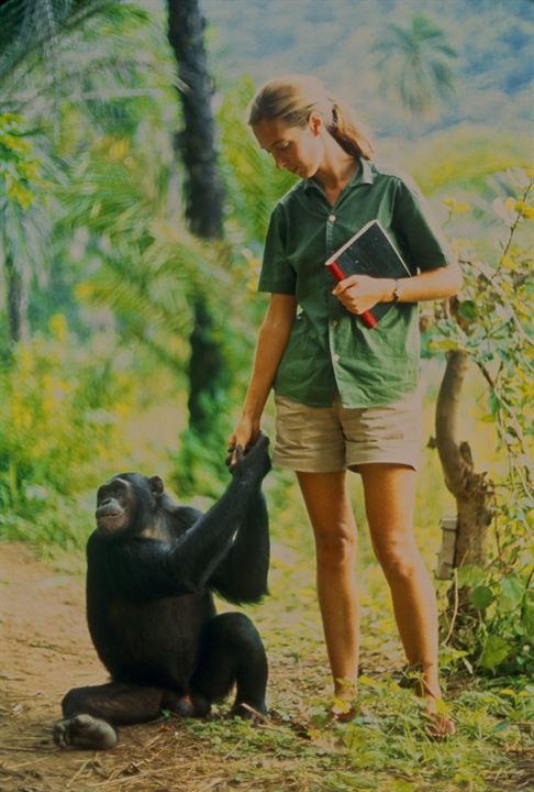 Jane: A Mãe dos Chimpanzés : Fotos Jane Goodall
