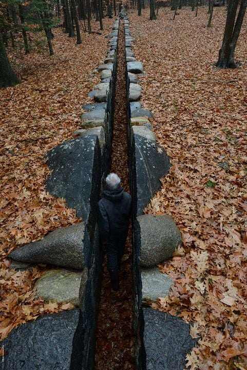 Leaning Into the Wind: Andy Goldsworthy : Fotos