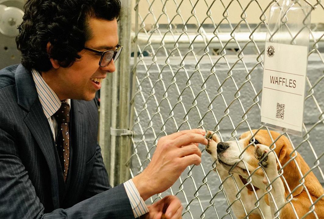 Madam Secretary : Fotos Geoffrey Arend