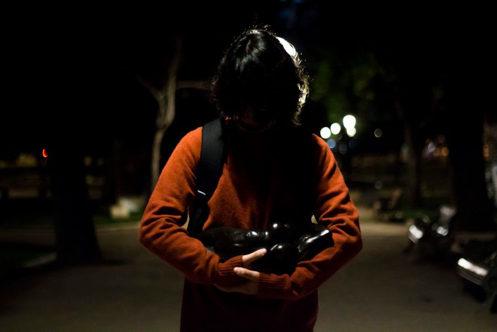 Roubar Rodin : Fotos