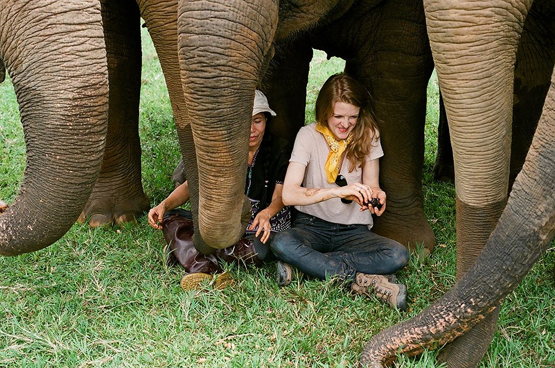 Love & Bananas : Fotos