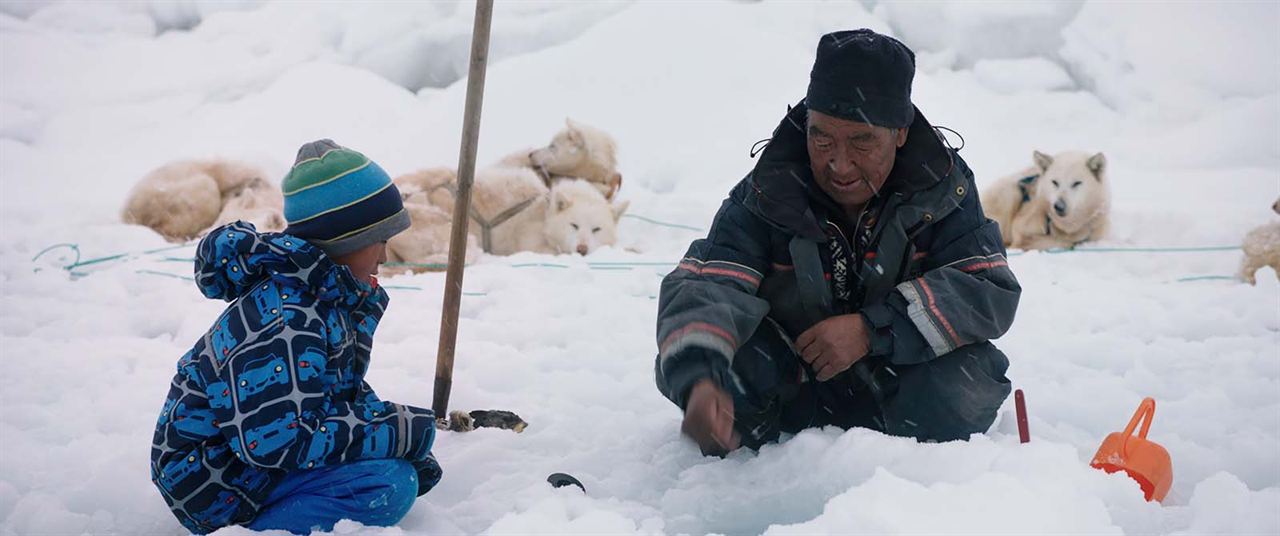A Polar Year : Fotos