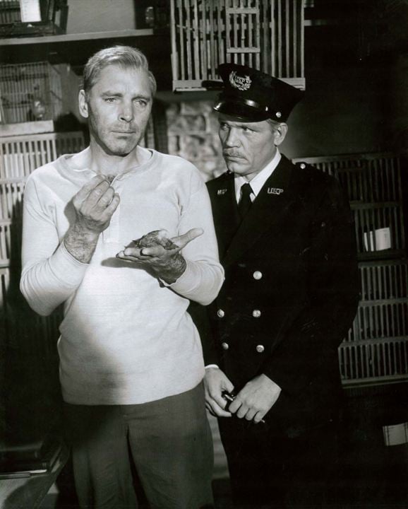 O Homem de Alcatraz : Fotos