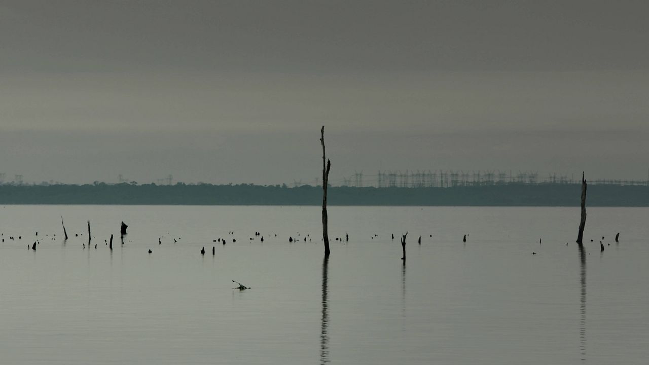 Construindo Pontes : Fotos