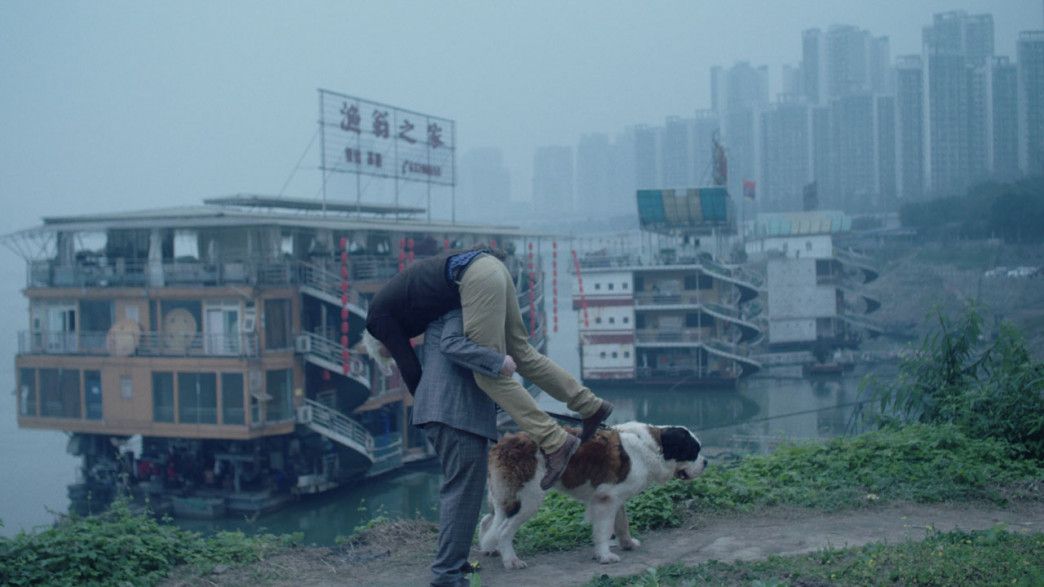Sankt Bernhard Syndikatet : Fotos