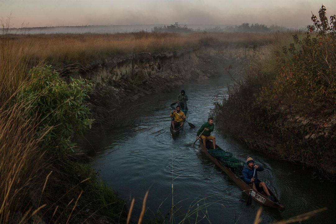 Into the Okavango : Fotos