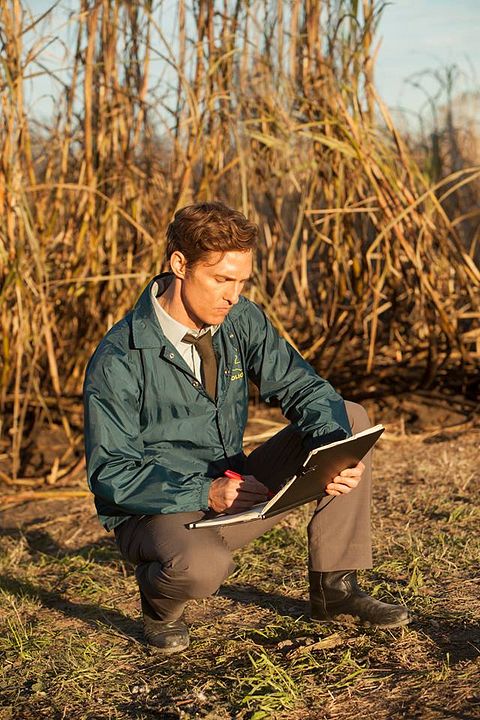 True Detective : Fotos