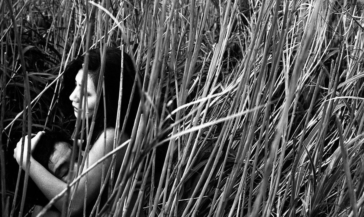 Amantes são molhados : Fotos Rie Nakagawa