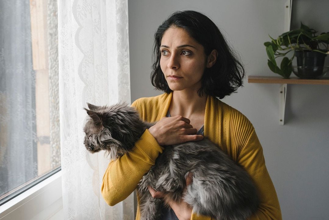 Die defekte Katze : Fotos Pegah Ferydoni