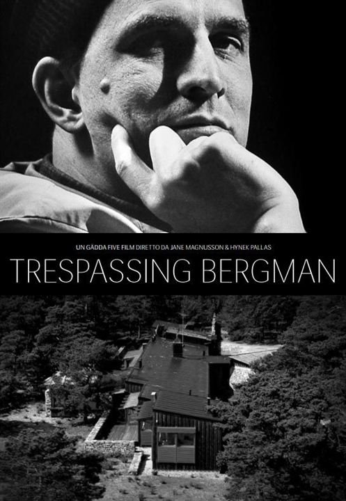 Bergmans Video : Poster