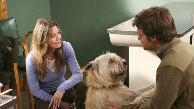 Grey's Anatomy : Fotos