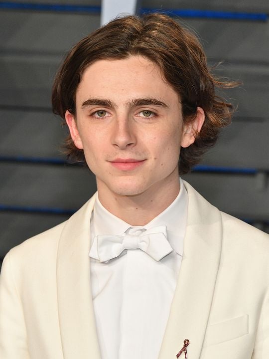 Poster Timothée Chalamet