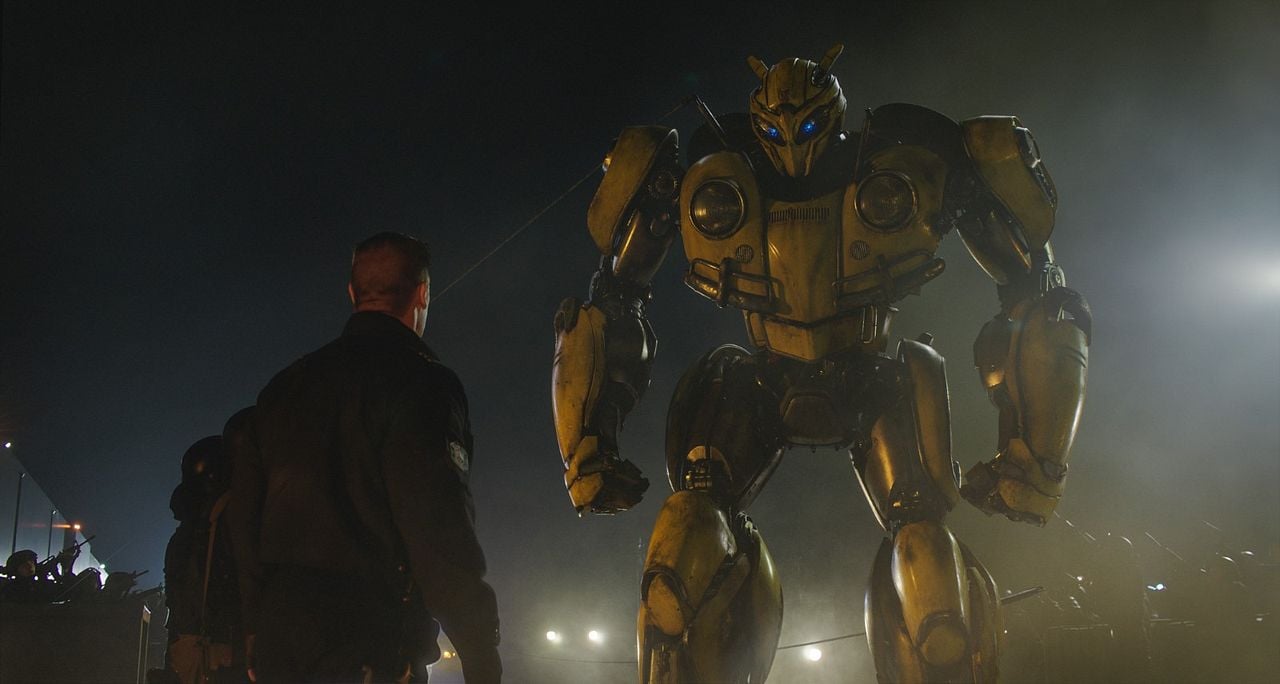 Bumblebee : Fotos