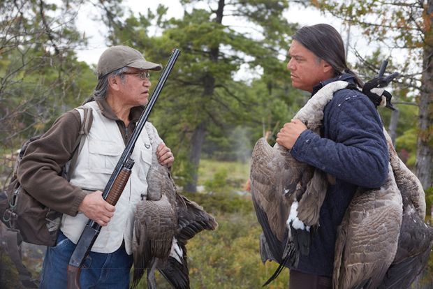 Through Black Spruce : Fotos