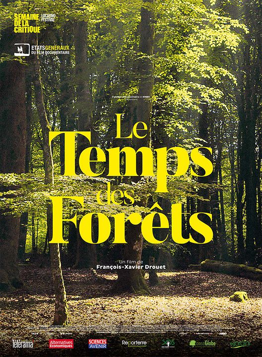 O Tempo das Florestas : Poster