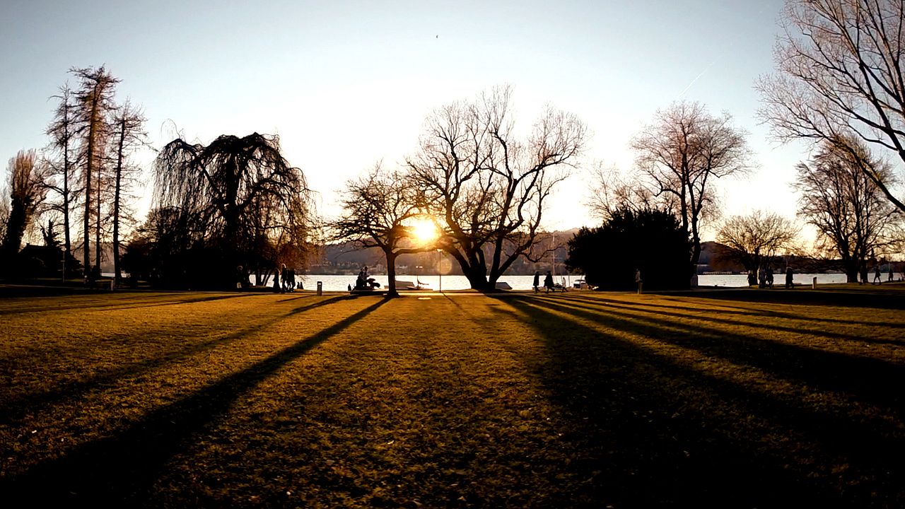 O Renascimento do Parto 3 : Fotos