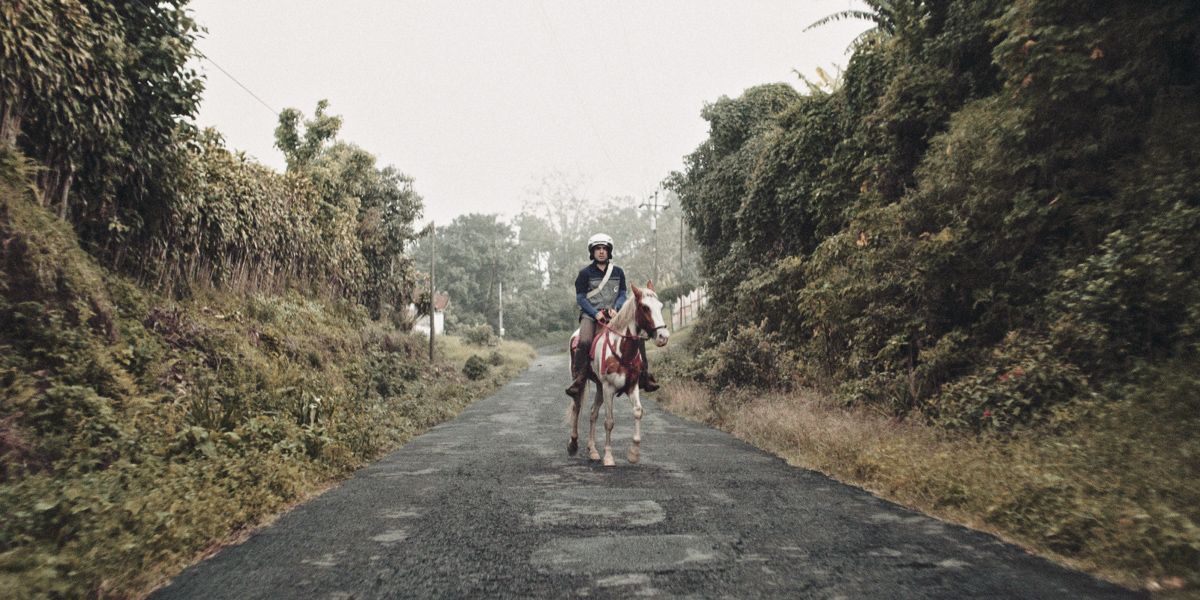 Cascos Indomables : Fotos