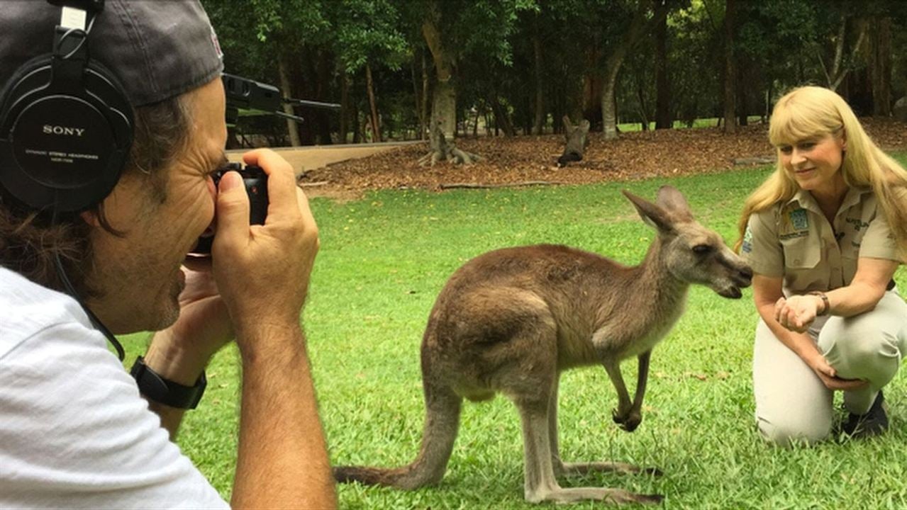 Kangaroo – A Love-Hate Story : Fotos