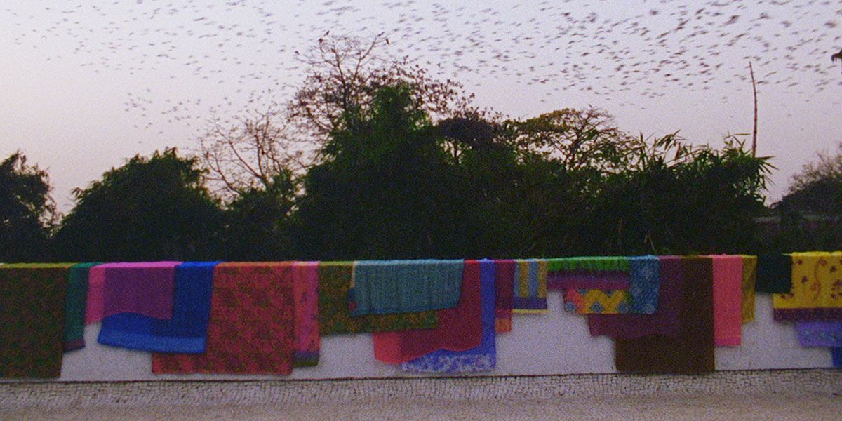 The Grand Bizarre : Fotos