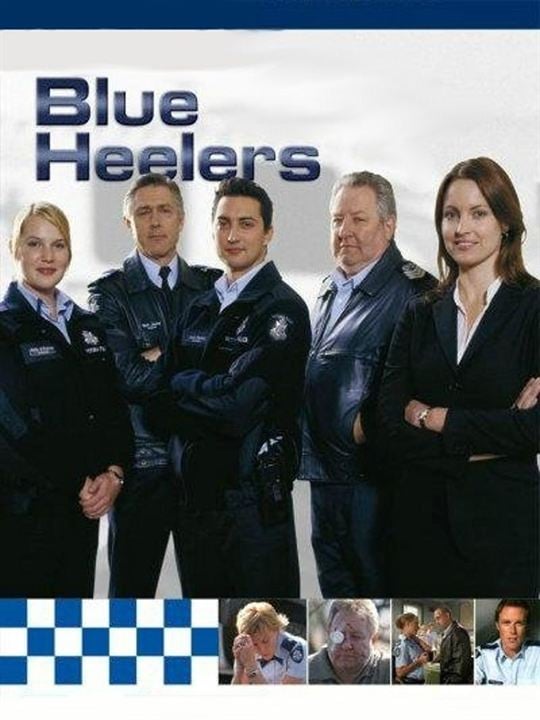 Blue Heelers : Poster