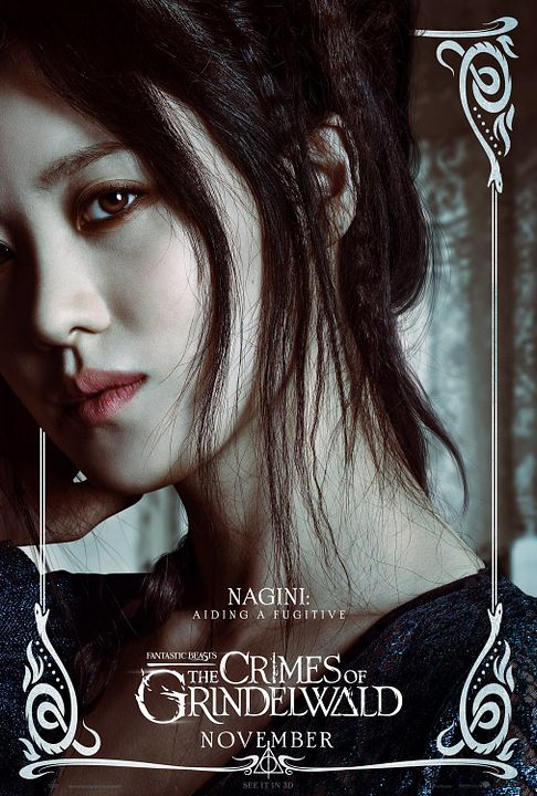 Animais Fantásticos: Os Crimes de Grindelwald : Poster