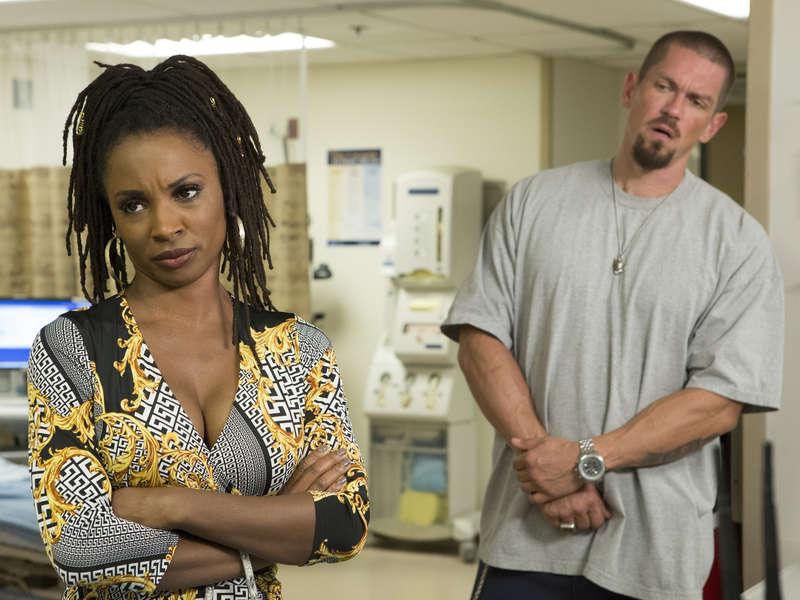 Fotos Shanola Hampton, Steve Howey