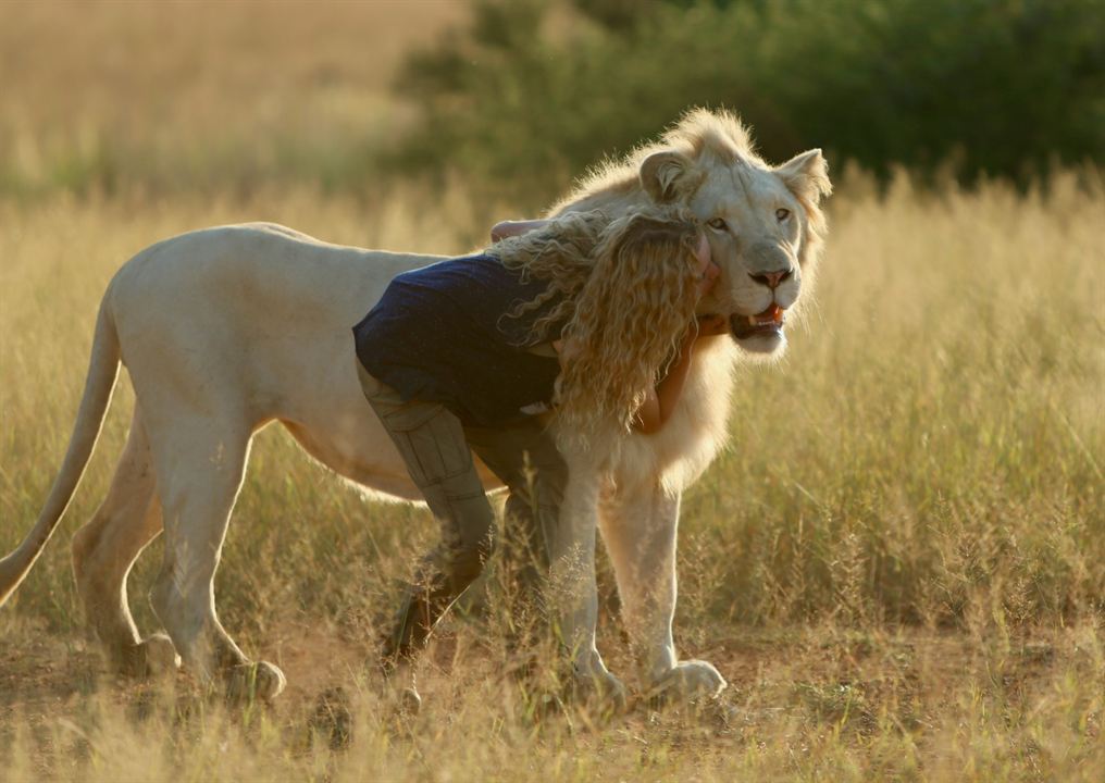 A Menina e o Leão : Fotos Daniah De Villiers