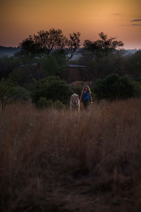 A Menina e o Leão : Fotos Daniah De Villiers