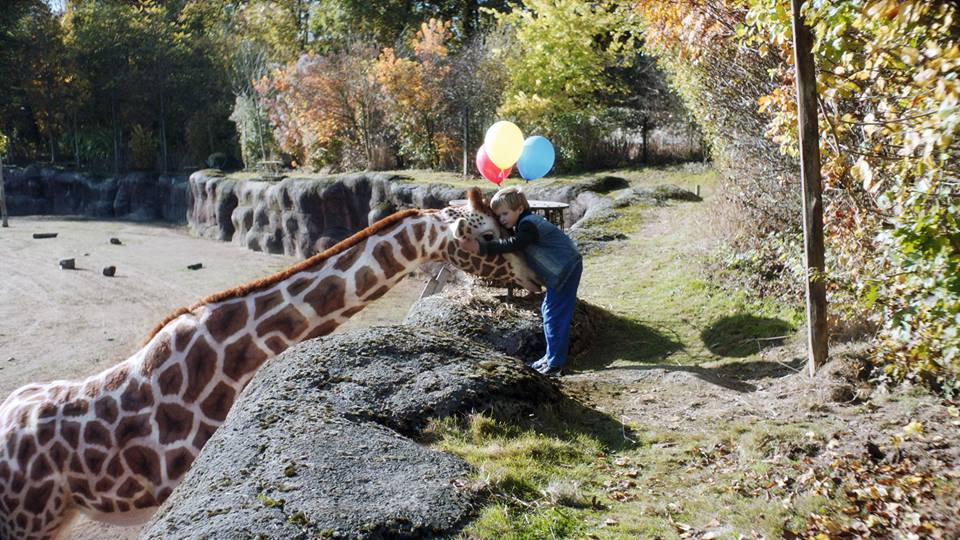 Meu Amigo é uma Girafa : Fotos