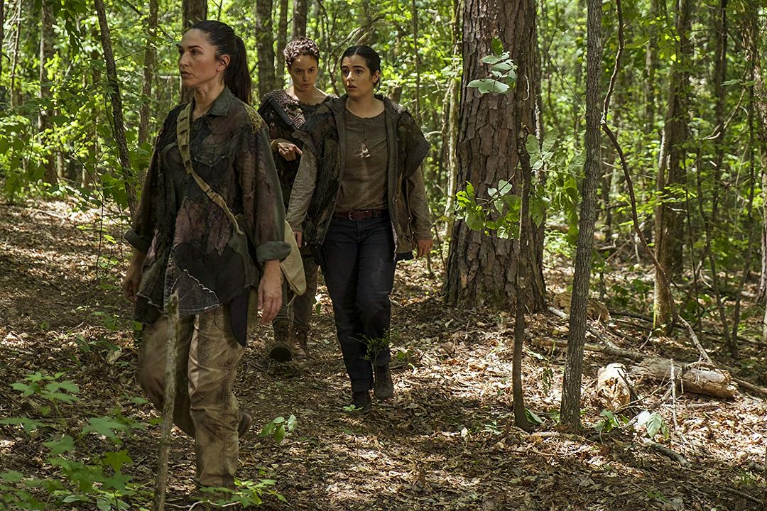 The Walking Dead : Poster