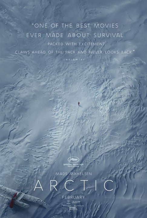 Arctic : Poster