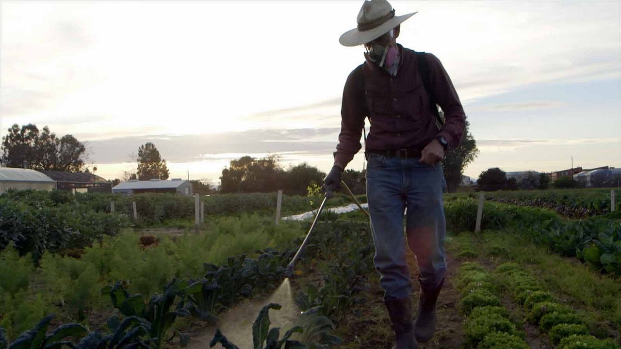 O Futuro da Alimentação Humana : Fotos