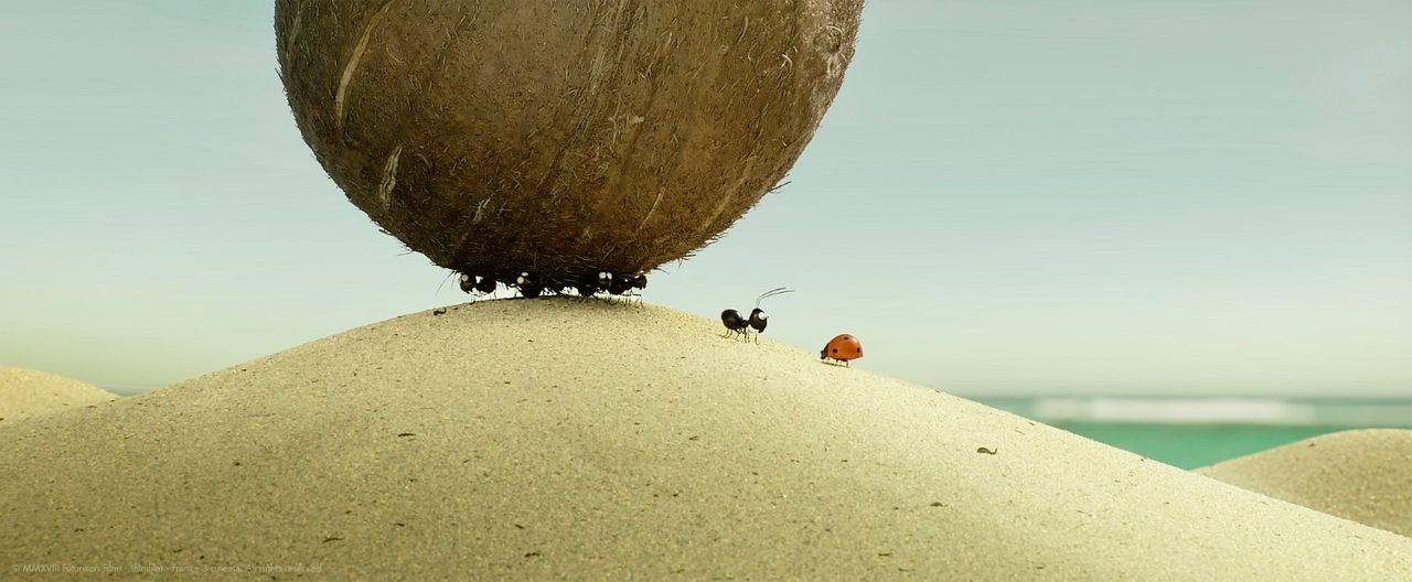 Minuscule 2 - Les Mandibules du Bout du Monde : Fotos