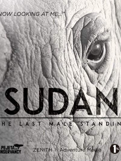 Sudan: The Last Male Standing : Poster