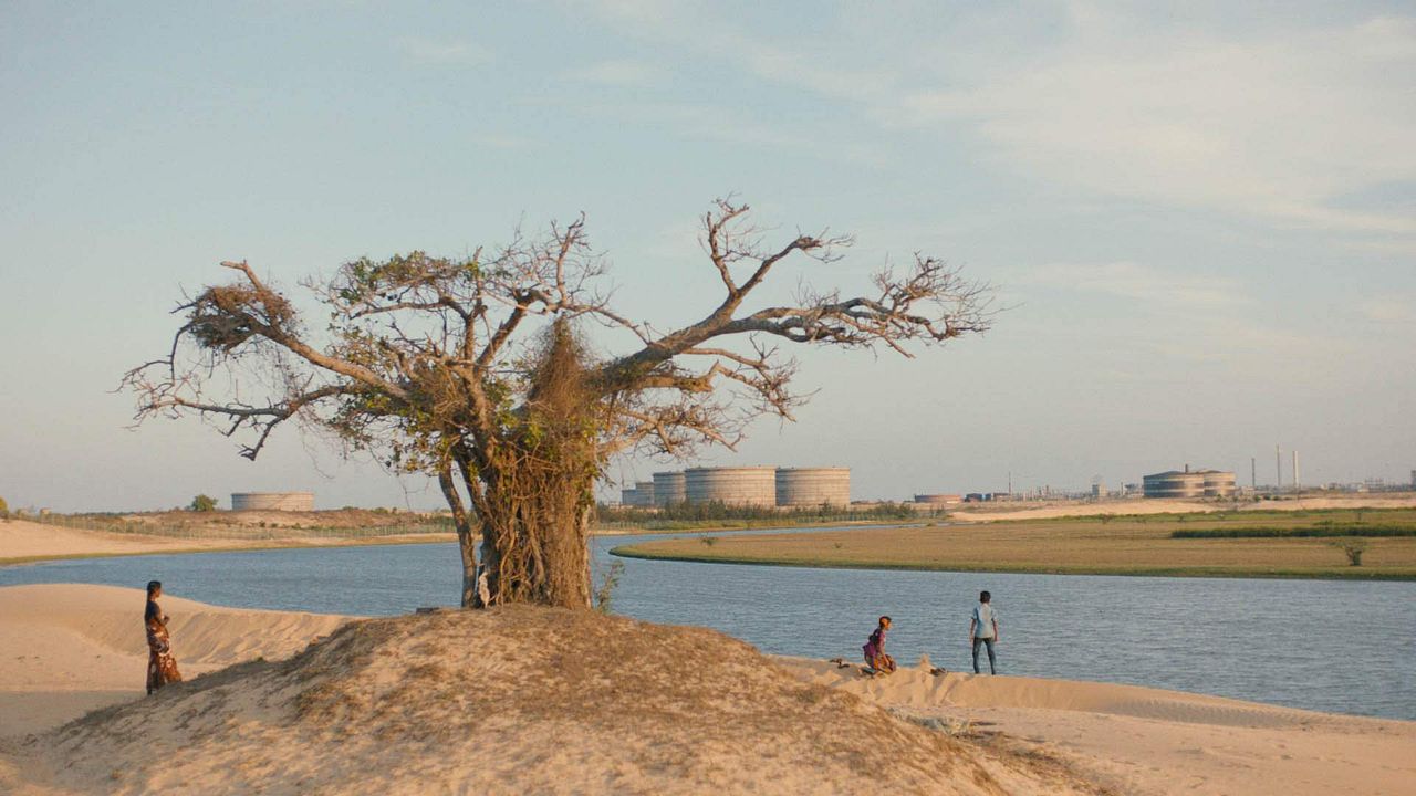 As Sombras do Deserto : Fotos
