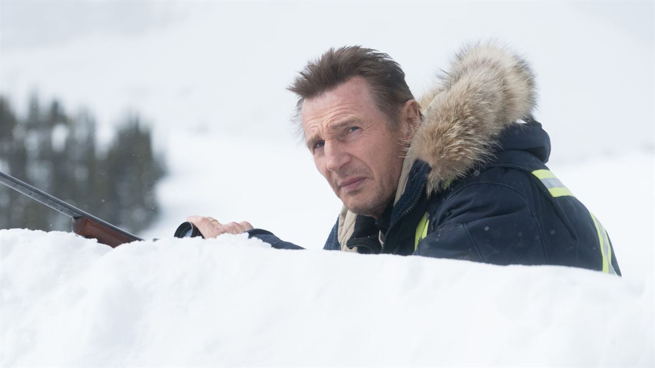 Vingança a Sangue Frio : Fotos Liam Neeson