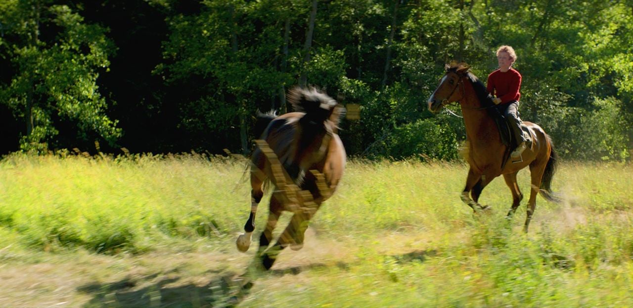Cavalos Roubados : Fotos Jon Ranes