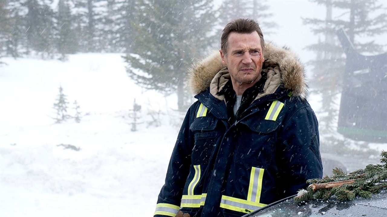 Vingança a Sangue Frio : Fotos Liam Neeson