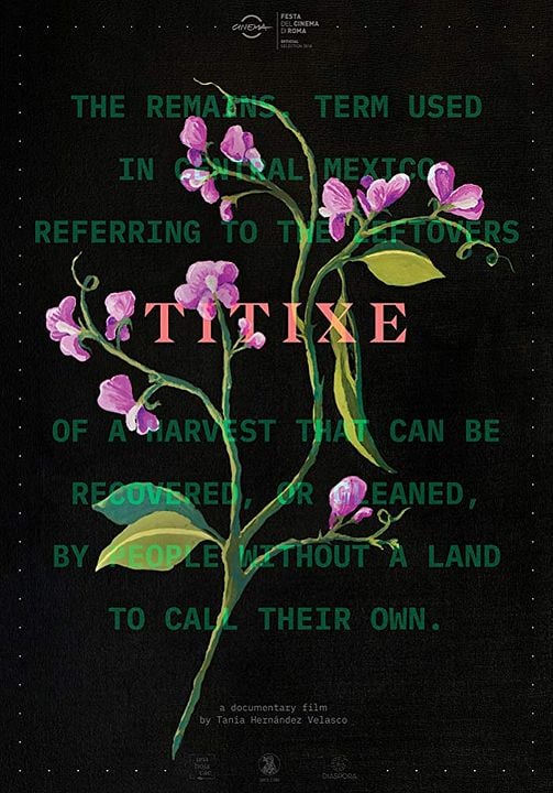 Titixe : Poster