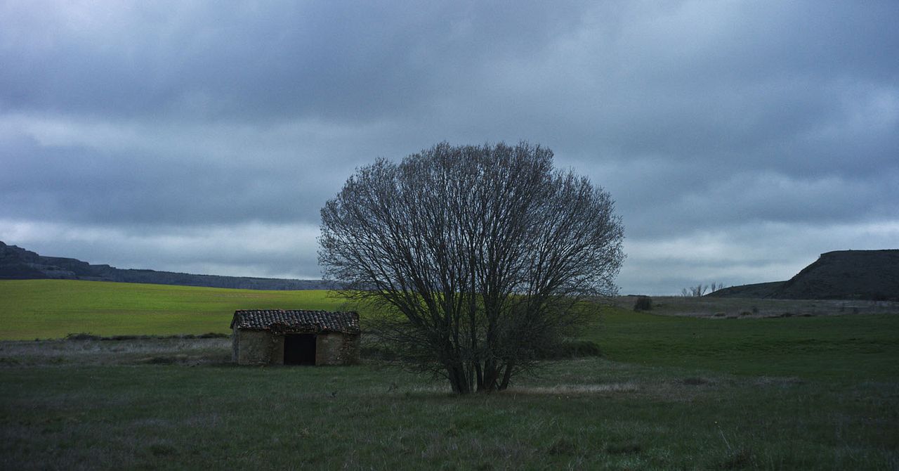 Con el viento : Fotos