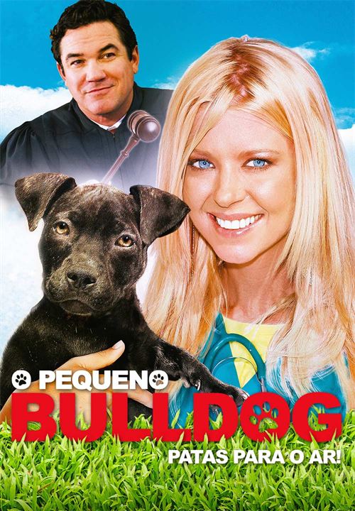 O Pequeno Bulldog : Poster