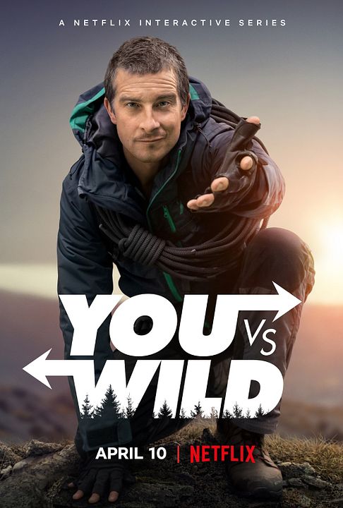 You Vs. Wild : Poster