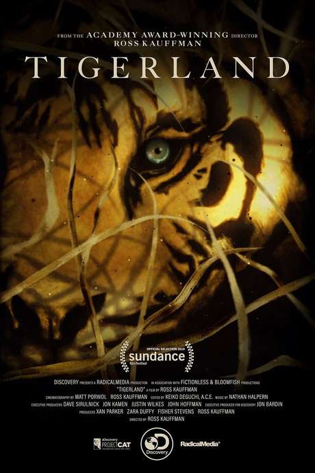 Tigerland : Poster
